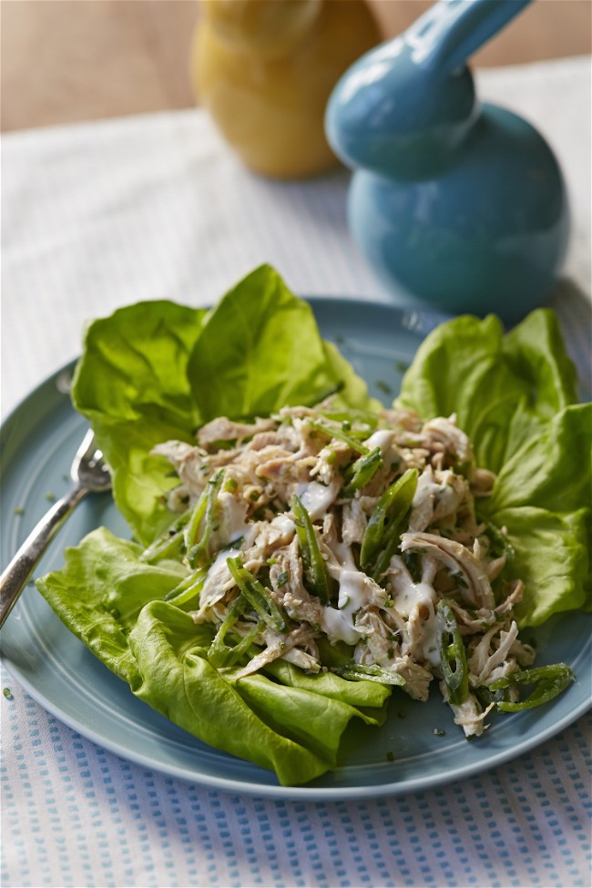 Image of Spring Chicken Salad