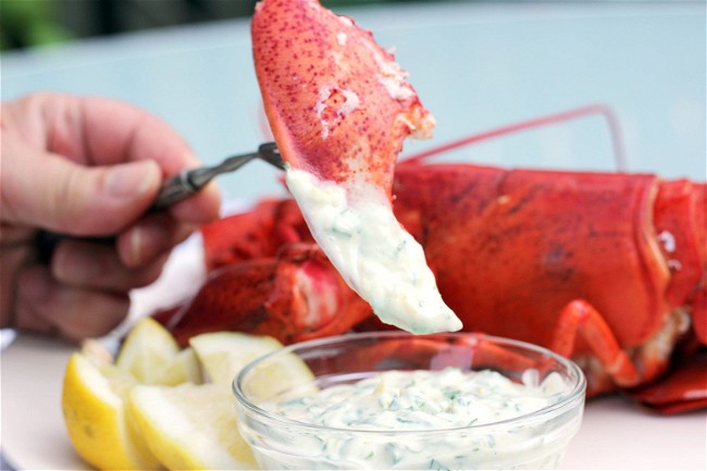 Image of Steamed Lobster with Lemon-Parsley Aioli