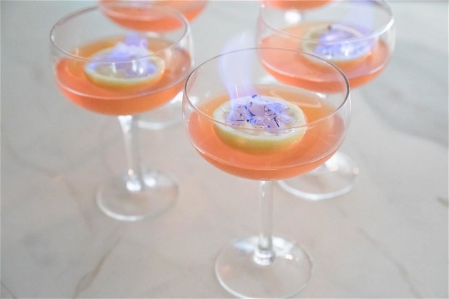 Image of Burnt Citrus Cocktails