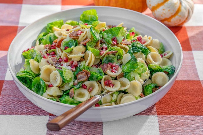 Image of Bacon and Brussels Sprout Orecchiette