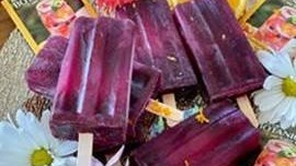 Image of Blueberry Citrus Popsicles