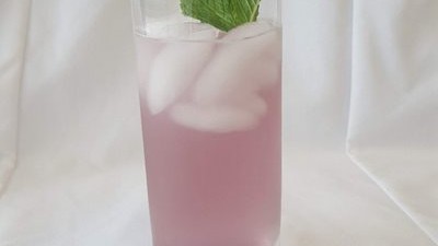 Image of Blueberry Citrus Mojito