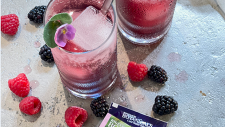 Image of Wild Berry Gin Fizz