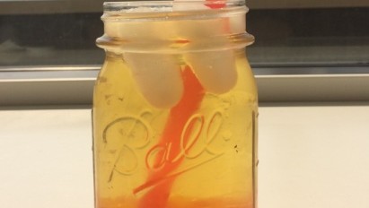 Image of Bubble Iced Tea