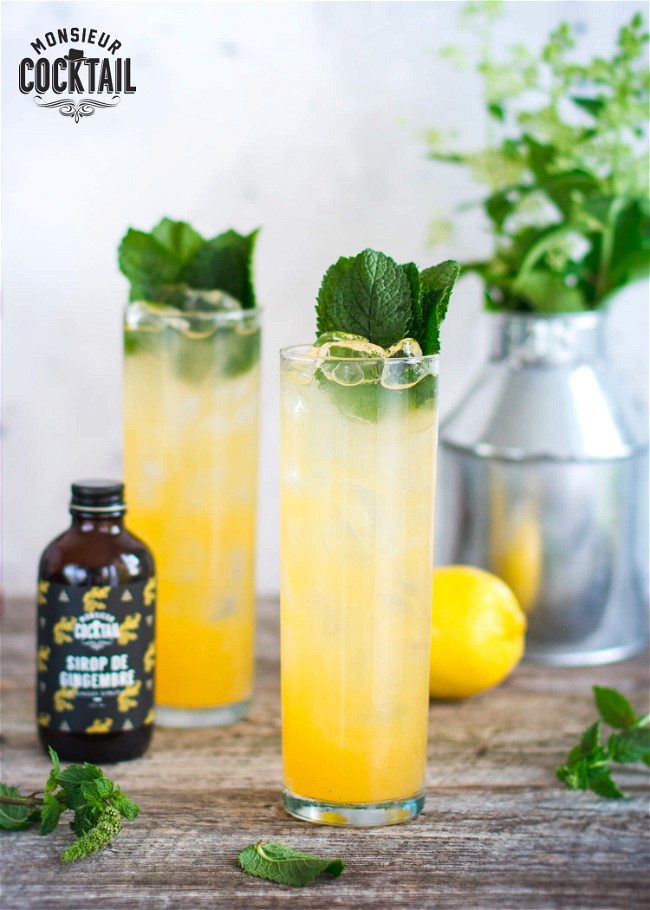 Image of Mexican Mule