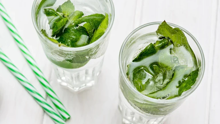 Image of True Lime Mojito