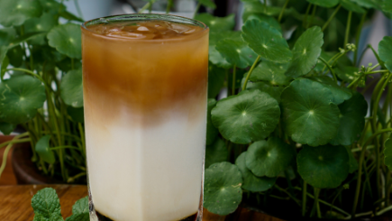 Image of Vietnamese iced coffee (easy version)