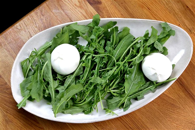 Image of Rucola waschen und trockenschleudern. Zusammen mit dem Burrata auf einen...