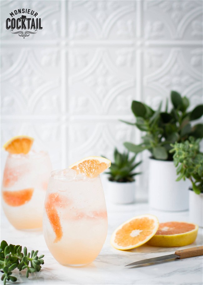 Image of Paloma