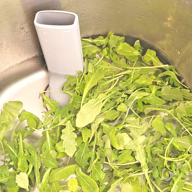 Image of Den Rucola waschen, mit der Salatschleuder oder einem Küchentuch trocknen und beiseite stellen
