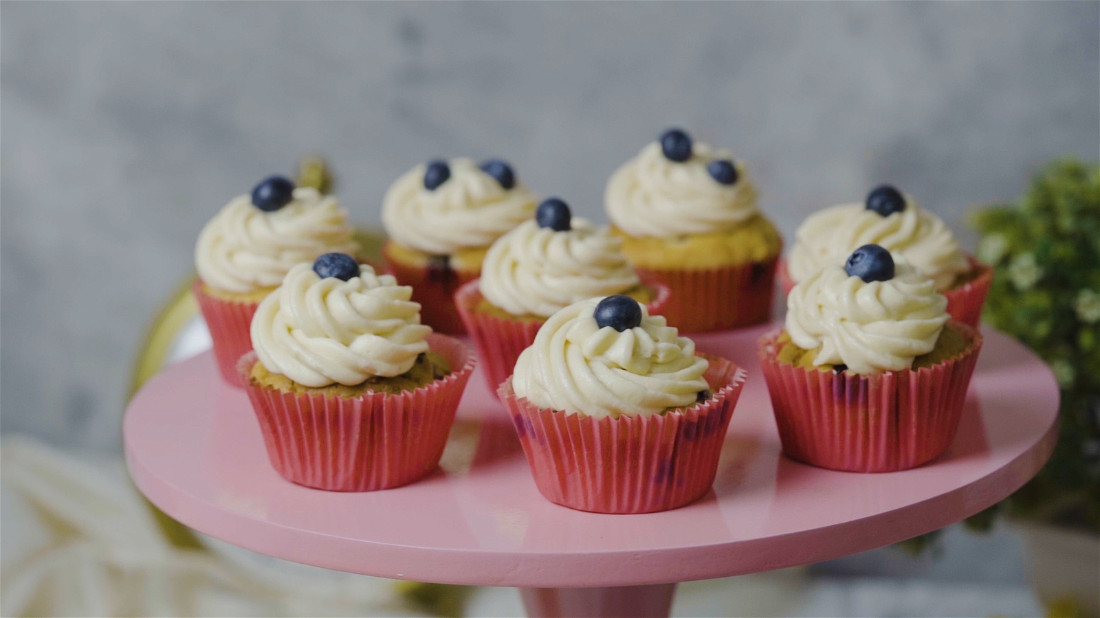 Image of Blueberry Cupcakes 