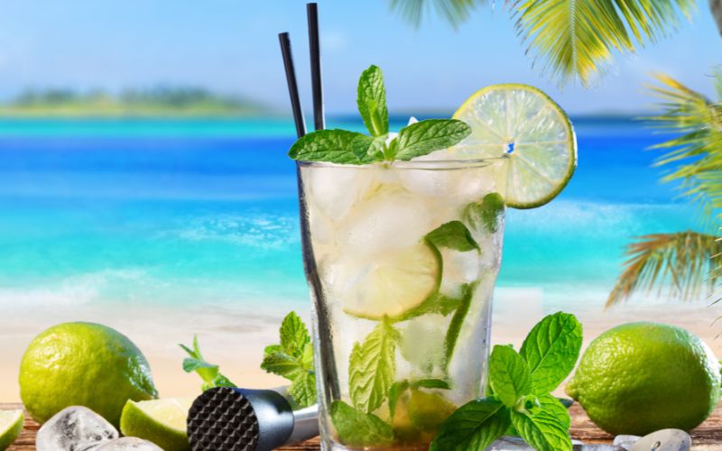 Truly Spiked Seltzer Mojito