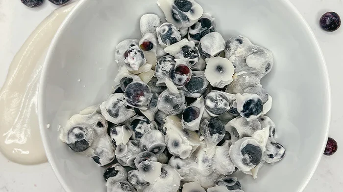 Image of Puppy Blueberry Yogurt Bites 