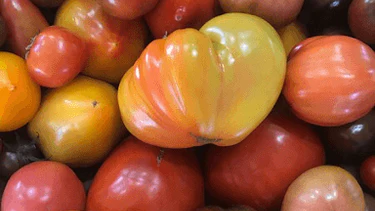 Image of How to Home-Dry Tomatoes and a Farmer’s Frittata Recipe