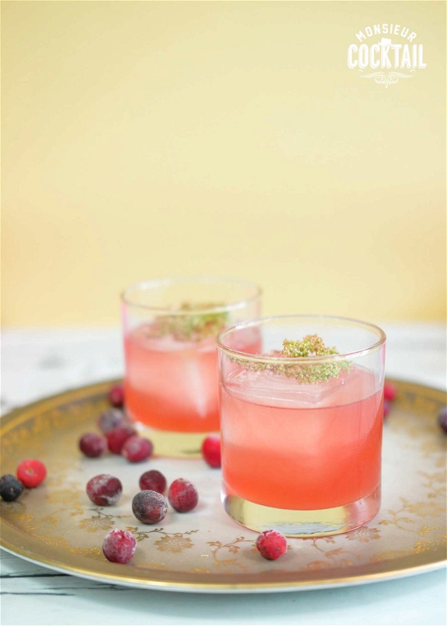 Image of Smash au gin, au gingembre et aux canneberges