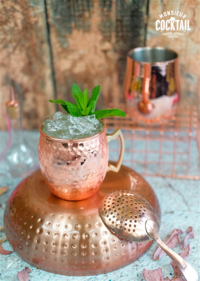 Image of Slush mule simple et rapide