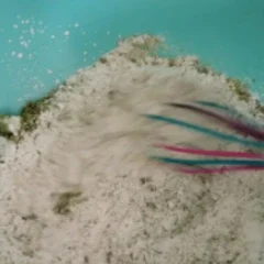 Image of In a separate bowl, whisk together the flour, baking powder,...