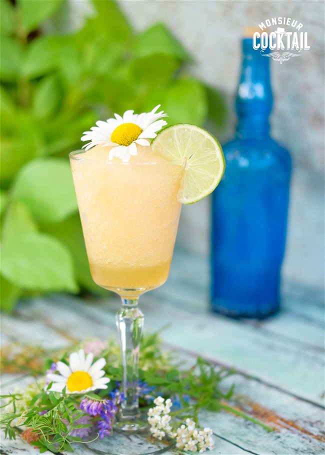 Image of Slush Ginto classique