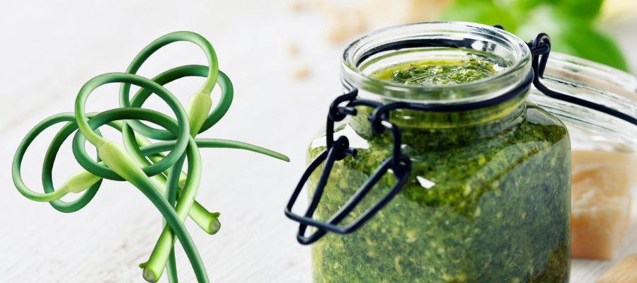 Garlic Scape Pesto