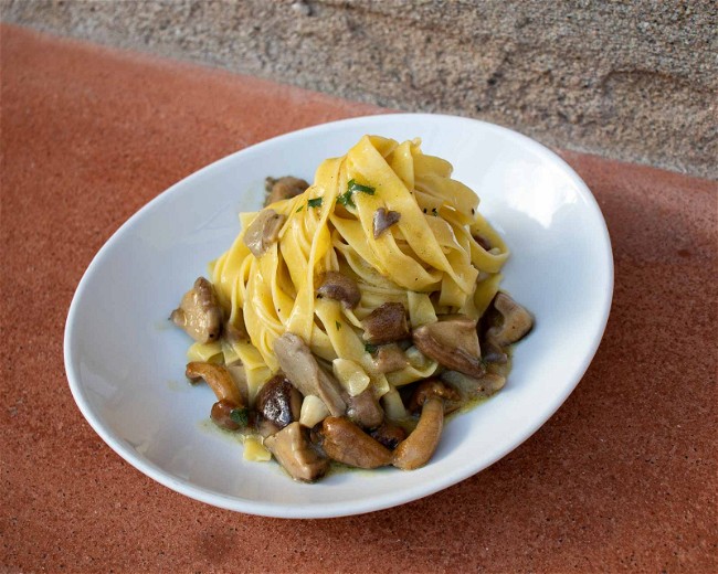 Image of Fettuccine with Porcini Mushrooms (Fettuccine ai Funghi Porcini)