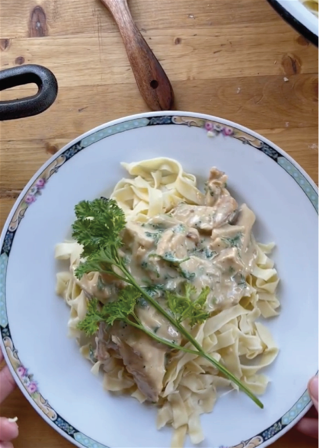 Image of Chicken Alfredo with Homemade Noodles
