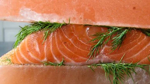 Image of Salt Block Cured Gravlax