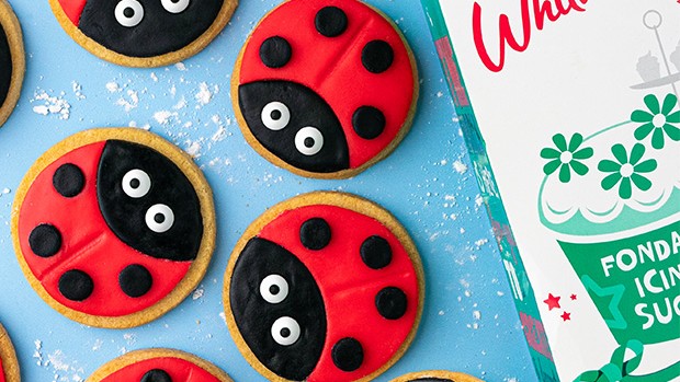 Image of Ladybird Biscuits
