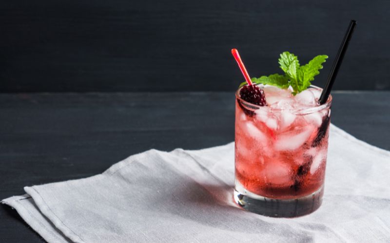 Blackberry Kombucha Vodka Smash