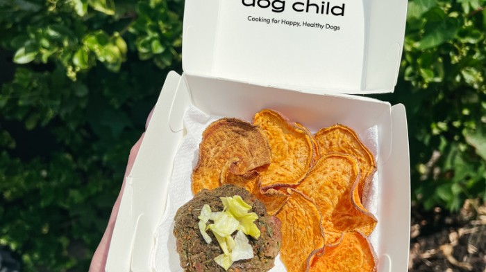 Image of Doggy Burgers & Fries 