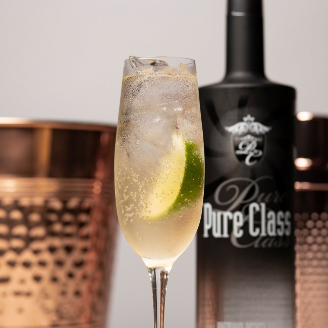 Image of Classy Mule