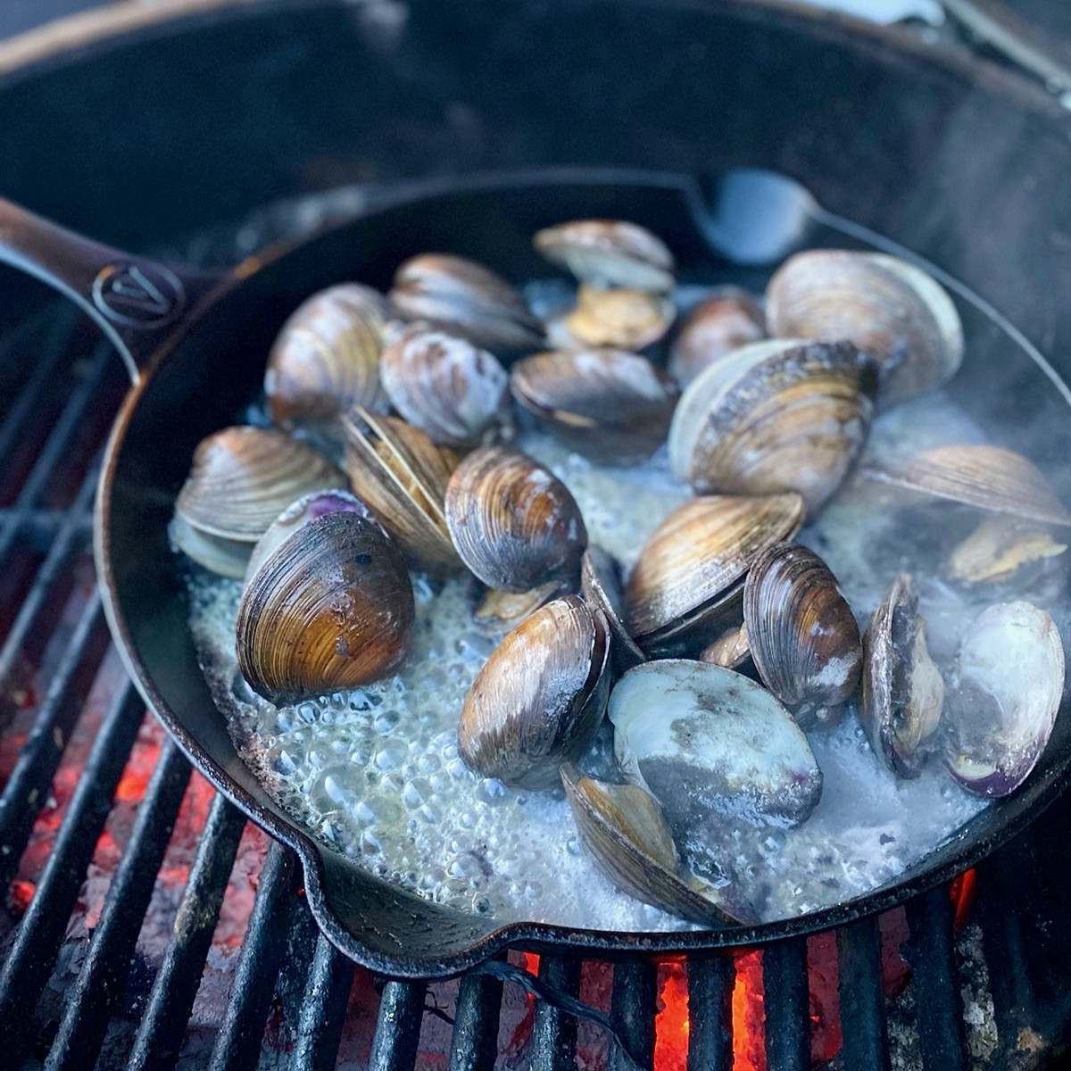 Shabazi Clams