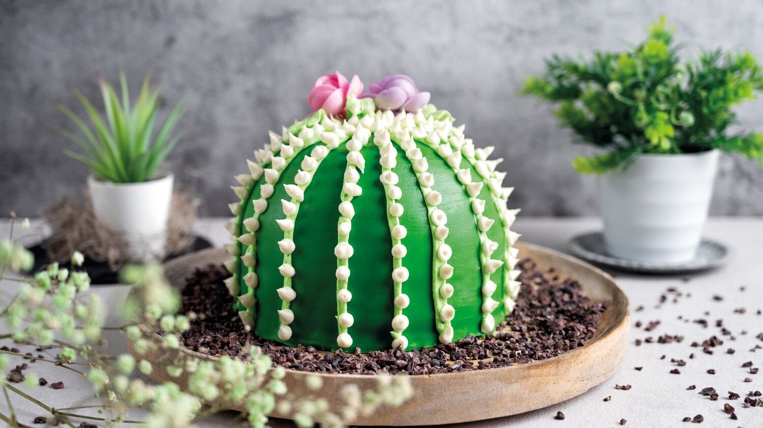 Kaktus-Torte