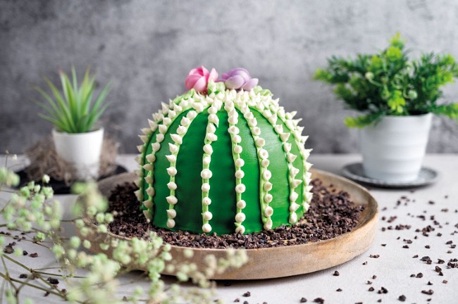 Image of Kaktus-Torte