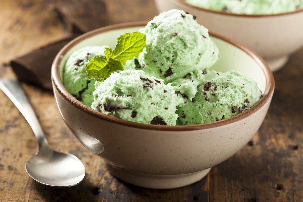 Creamy Mint Chocolate Chip Ice Cream