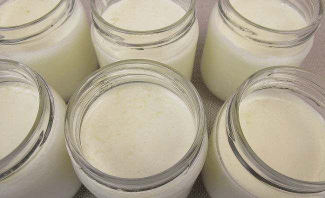 Image of Instant Pot Yogurt