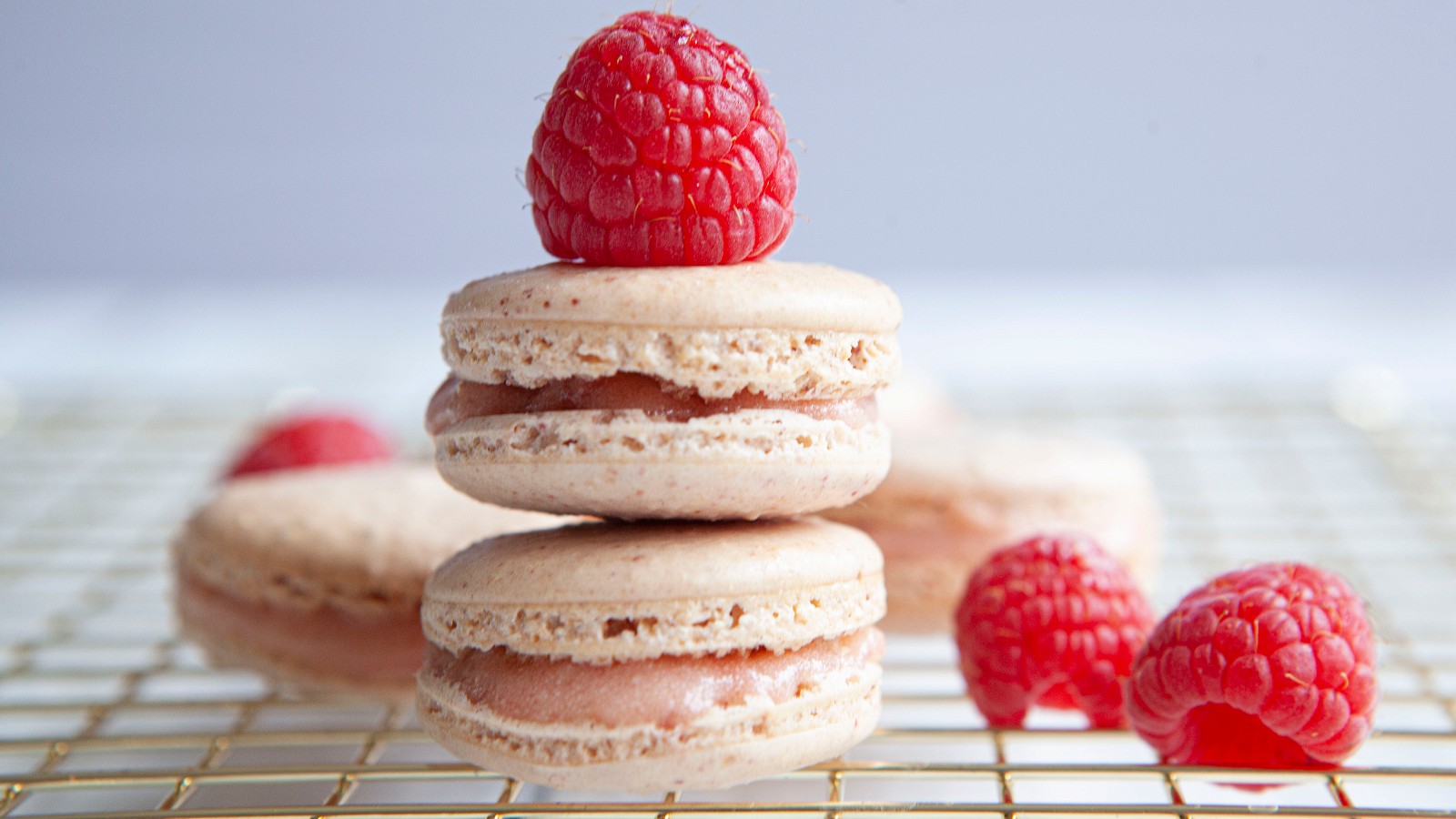 Image of FRENCH RASPBERRY MACARONS
