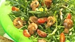 Image of Rucola-Salat mit honig-glasierten Champignons
