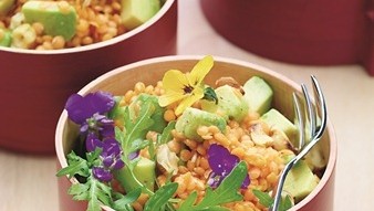 Image of Linsen-Avocado-Salat auf Rucola