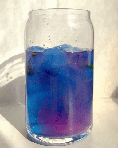Color Changing Butterfly Pea Refresher, Flower Tea Recipe