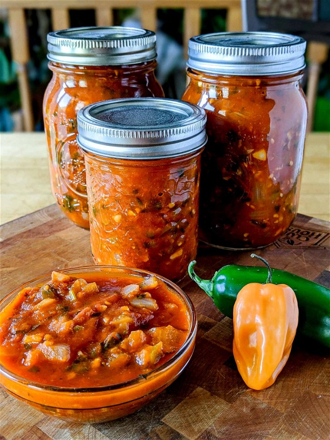 Image of Tomato Salsa – Smoked or Not!