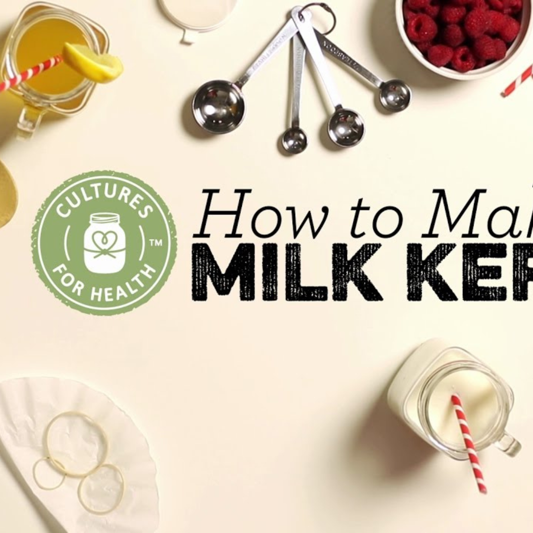 How to make OatMilk kefir/drinkable yogurt/probiotics - 1 min