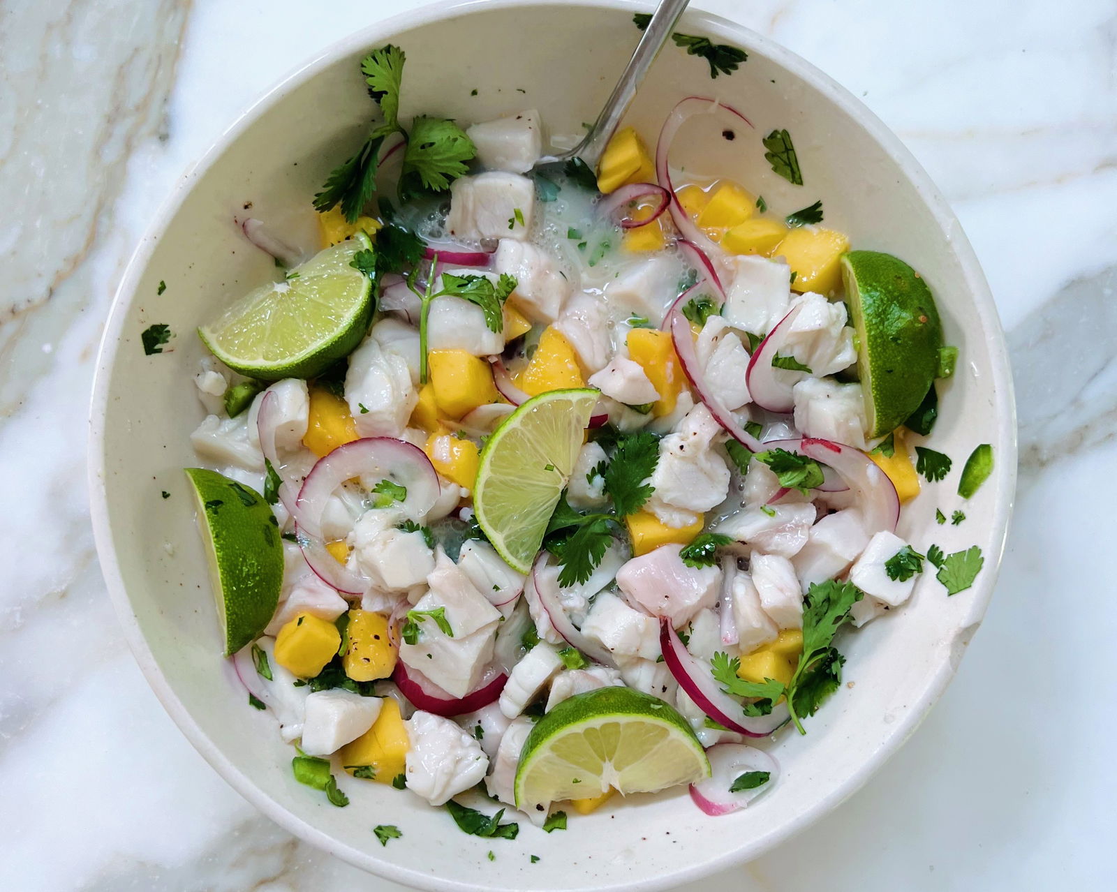 Mango Halibut Ceviche – Premier Catch