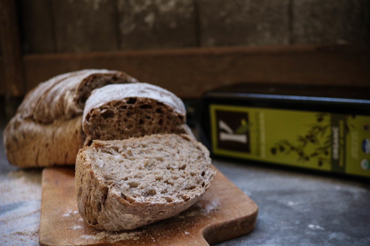 Recipe-260-Whole Wheat Bread