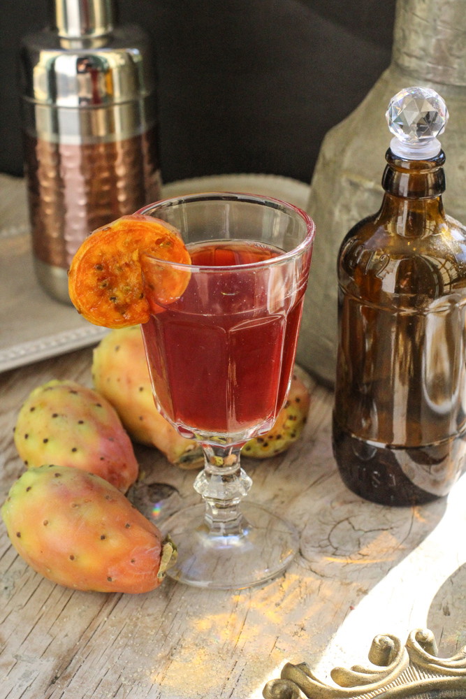 Recipe-355-Prickly Pear Bourbon Cocktail