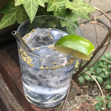 Gin and Tonic Cocktail - A Beautiful Mess
