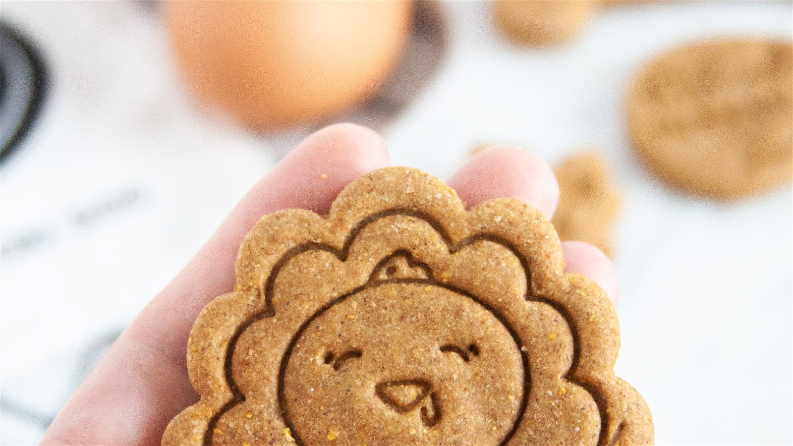 Apple Pumpkin Dog Biscuit Treats