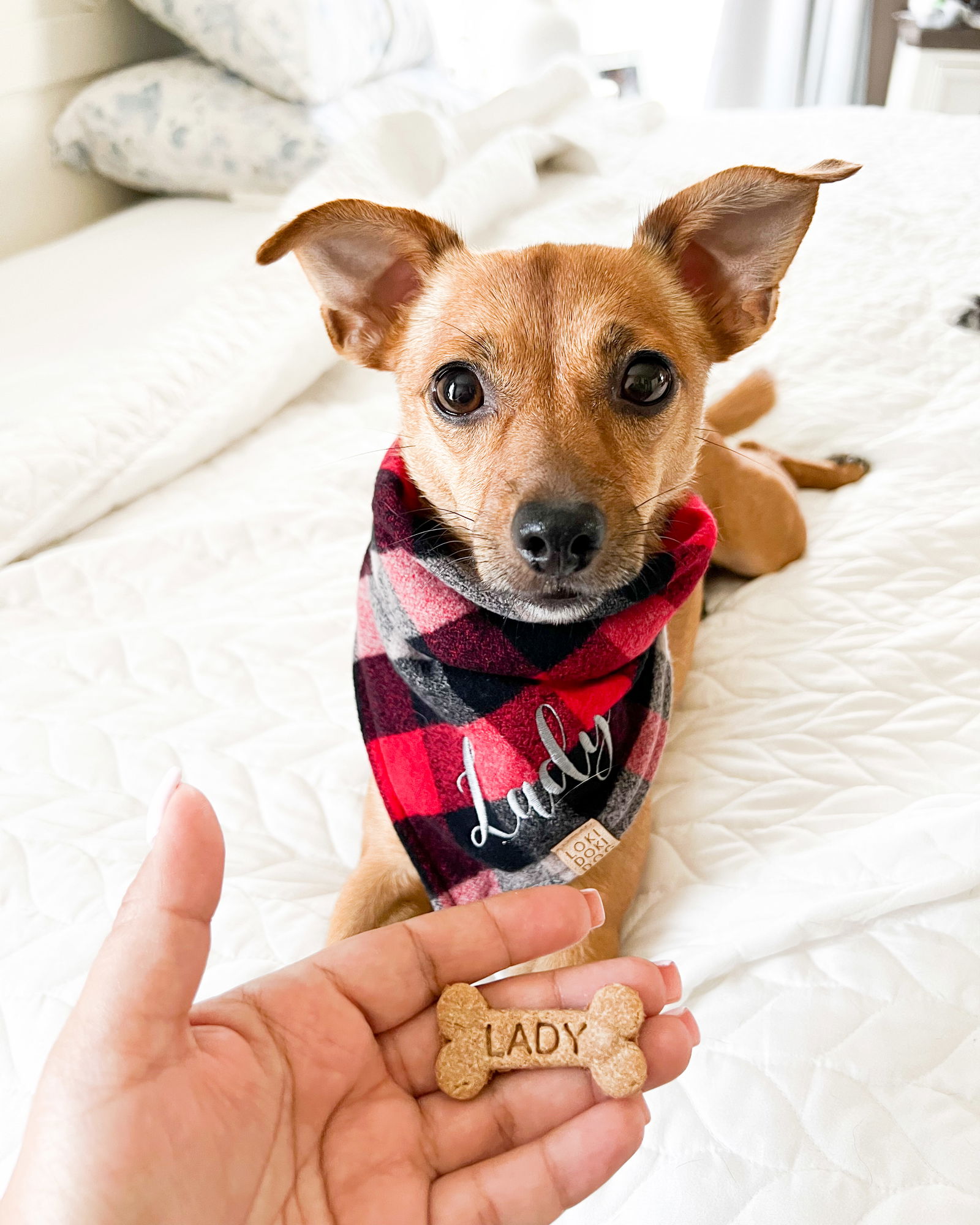 Peanut Butter Honey Dog Biscuit Treats