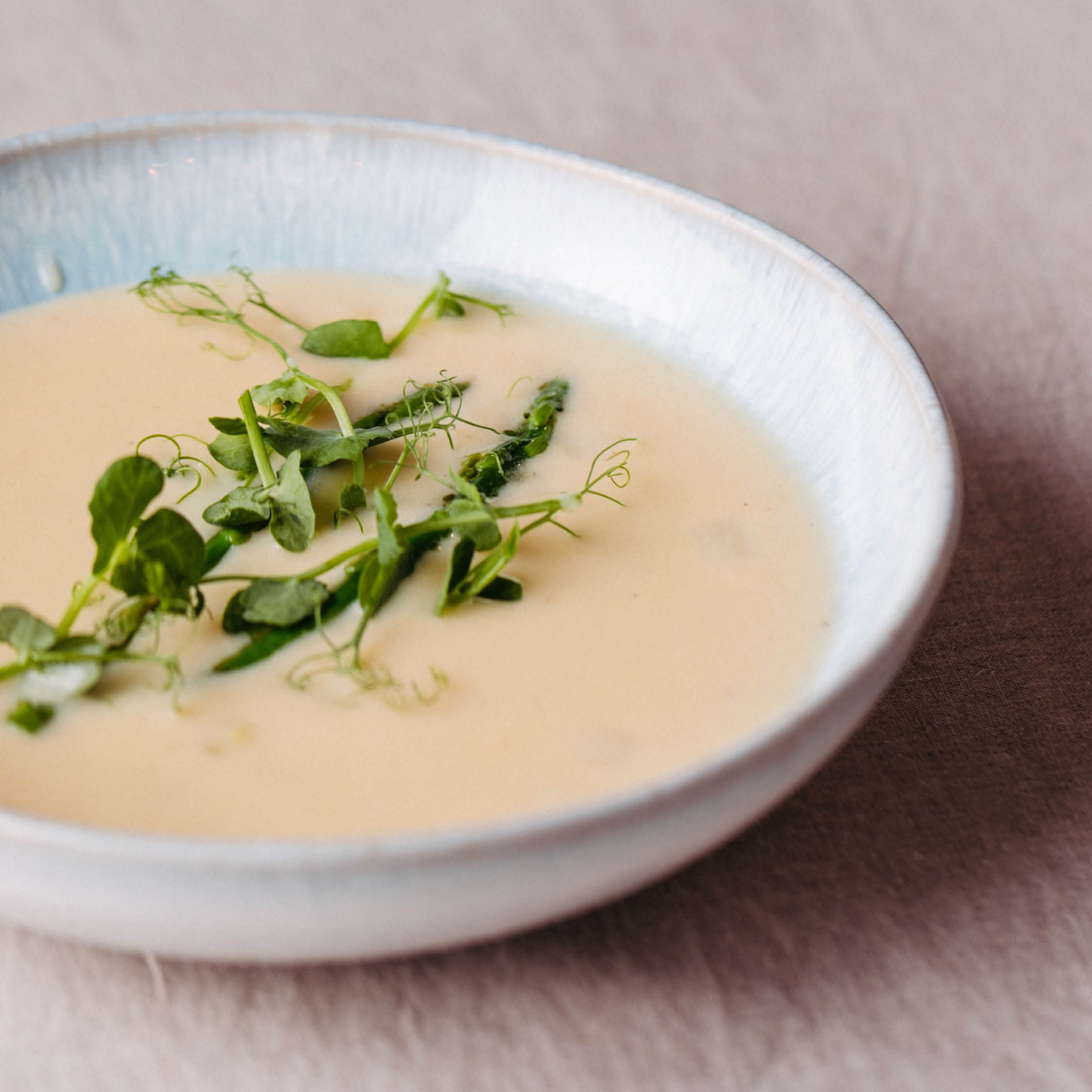 Spargelcremesuppe lecker &amp; selbst gemacht mit Stabmixer