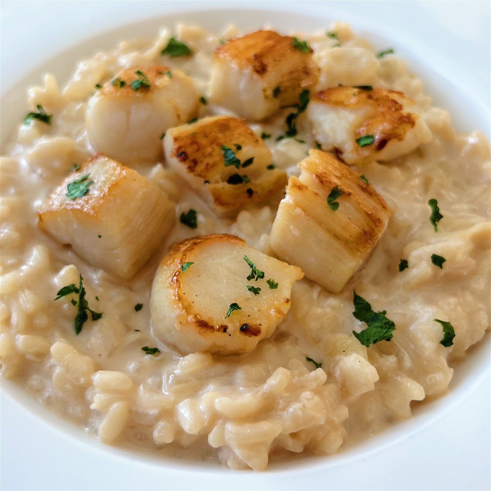 Pan-Seared Snook and Seafood Risotto - Florida Sportsman