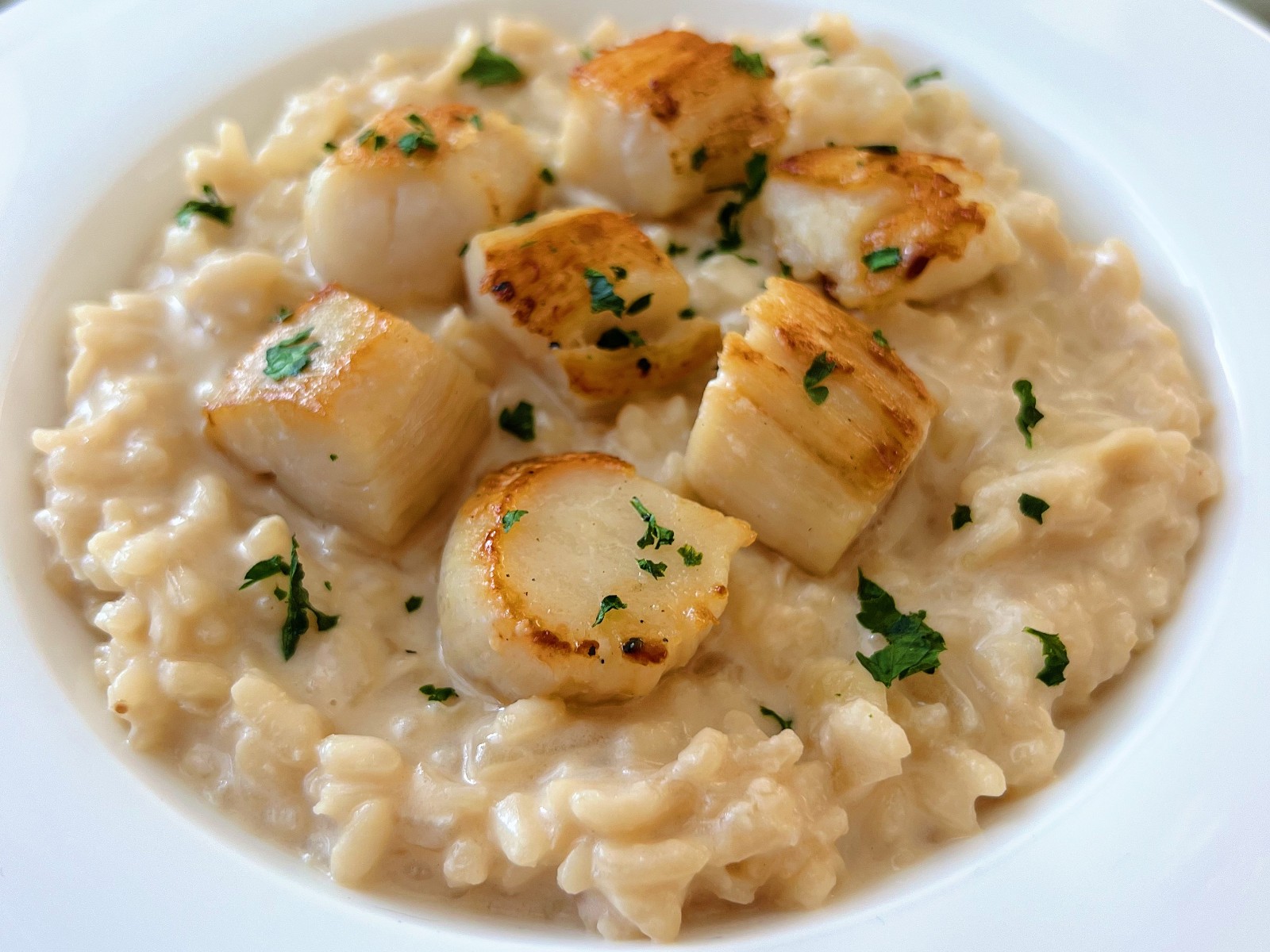 “Parmesan Lemon Risotto with Seared Scallops: A Perfect Balance of ...